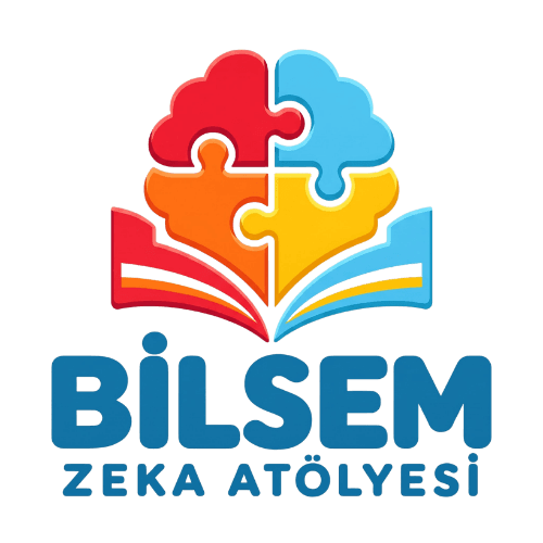 BİLSEM ZEKA ATÖLYESİ